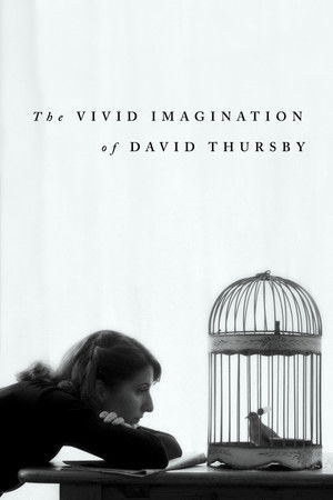 The Vivid Imagination of David Thursby