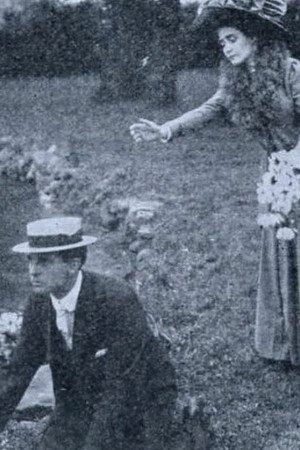 Water Lilies Water Lilies