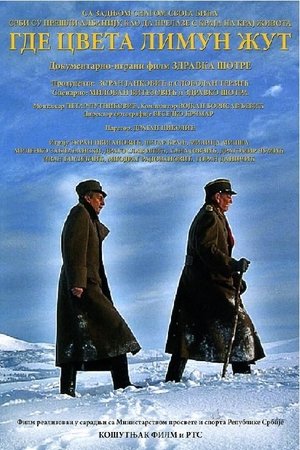 Where the Yellow Lemon Blooms Where the Yellow Lemon Blooms