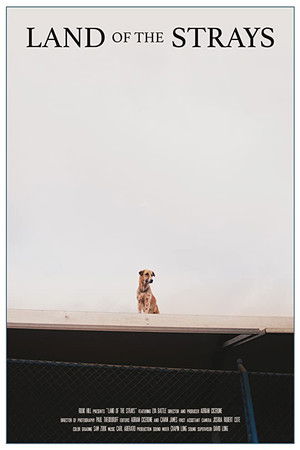 Land of the Strays