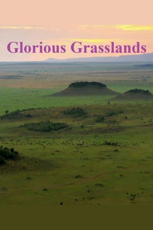 Glorious Grasslands Glorious Grasslands