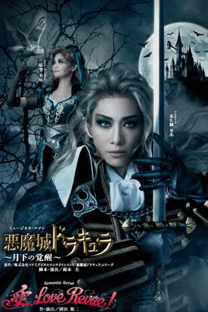Castlevania: Awakening in the Moonlight Castlevania: Awakening in the Moonlight