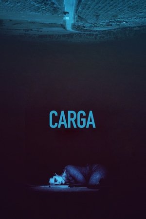 Carga Carga