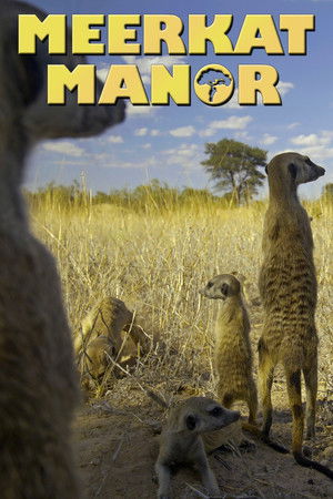 Meerkat Manor Meerkat Manor