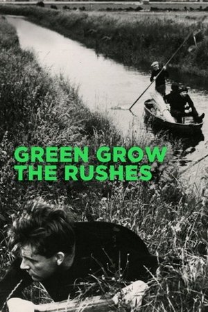Green Grow the Rushes Green Grow the Rushes