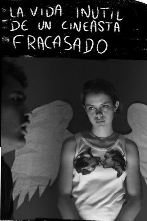 The useless life of a failed filmmaker The useless life of a failed filmmaker