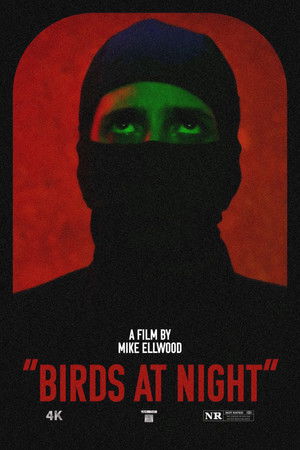 Birds at Night Birds at Night