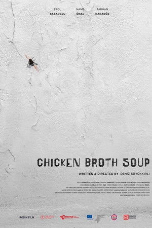 Chicken Broth Soup Chicken Broth Soup