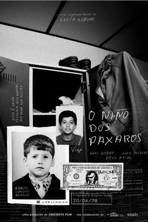 O niño dos paxaros