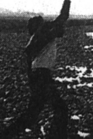 ハンバーグとキャベツ ハンバーグとキャベツ