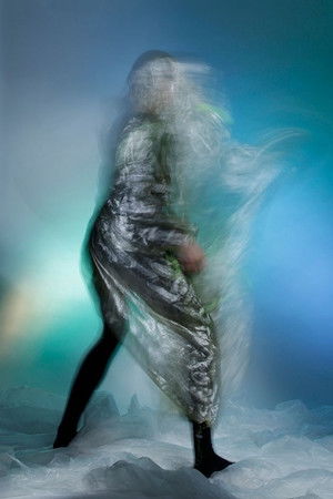 Elastic Habitat Elastic Habitat