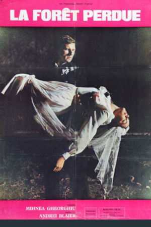 The Lost Forest The Lost Forest