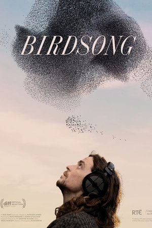Birdsong Birdsong