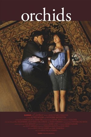 Orchids Orchids