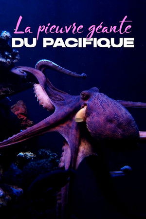 Rendezvous mit Riesenkraken - Die Geschichte von Ellie Rendezvous mit Riesenkraken - Die Geschichte von Ellie