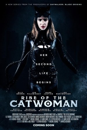 Rise of the Catwoman Rise of the Catwoman