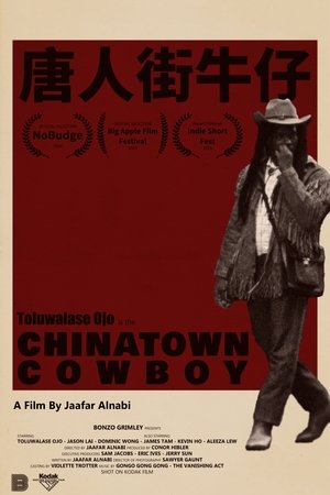Chinatown Cowboy