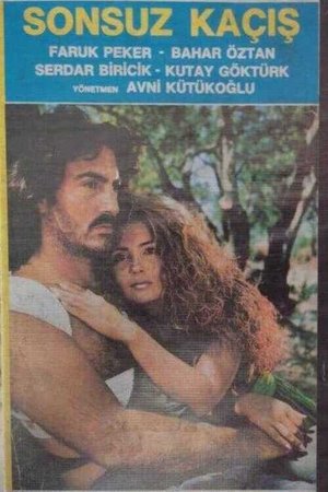 The Endless Escape The Endless Escape