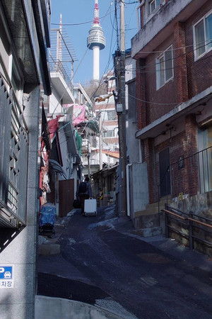 Winter Days Winter Days