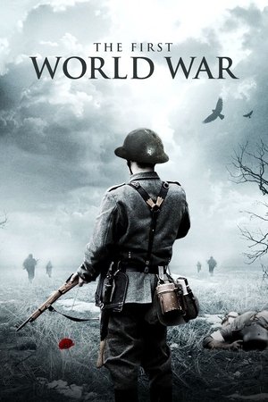 The First World War The First World War