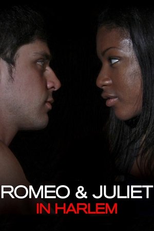 Romeo and Juliet in Harlem Romeo and Juliet in Harlem