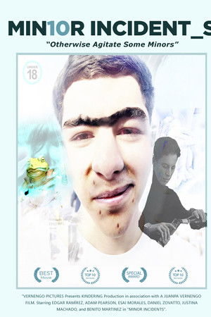 Minor Incidents Minor Incidents