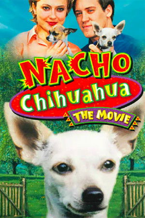 Nacho Chihuahua Nacho Chihuahua