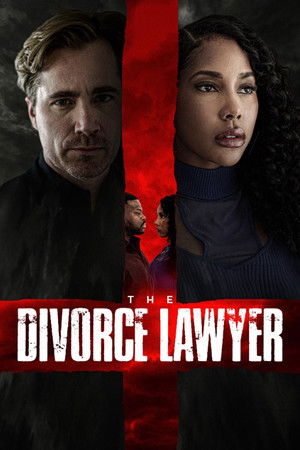 The Divorce Lawyer The Divorce Lawyer