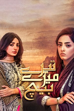 Tere Mere Beech Tere Mere Beech