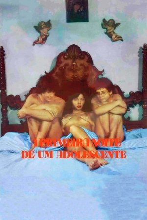 A Primeira Noite de um Adolescente A Primeira Noite de um Adolescente