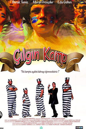 Çılgın Kamp