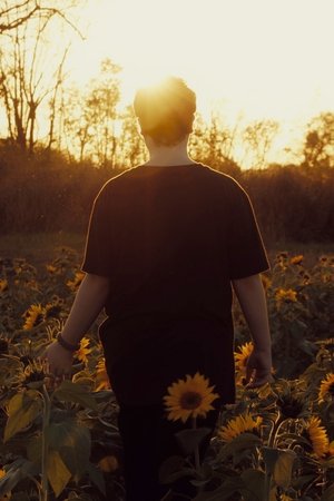 The Universe The Universe