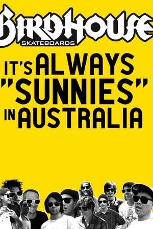 It's Always Sunnies In Australia It's Always Sunnies In Australia
