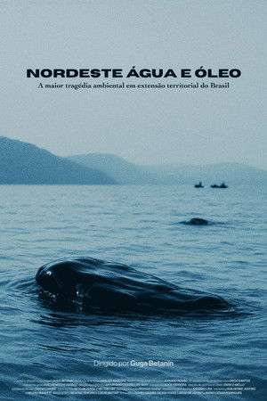 Nordeste Água e Óleo