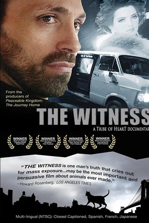 The Witness The Witness