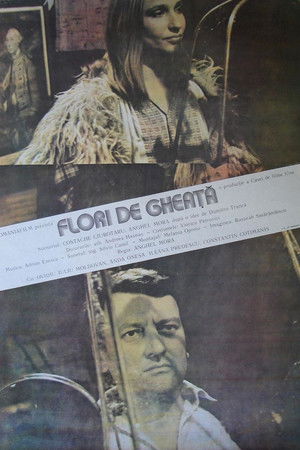 Flori de gheață Flori de gheață