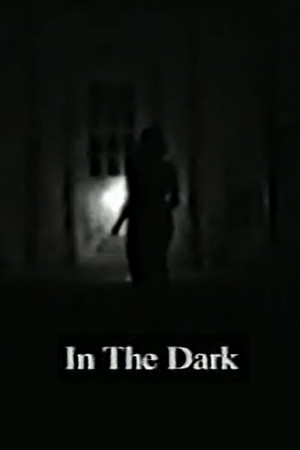 In the Dark In the Dark