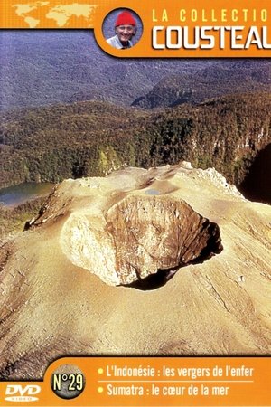 The Cousteau Collection N°35-1 | The Sharks