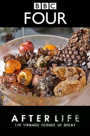 After Life: The Strange Science of Decay After Life: The Strange Science of Decay
