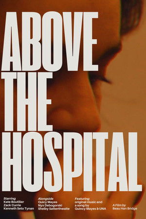 Above the Hospital Above the Hospital