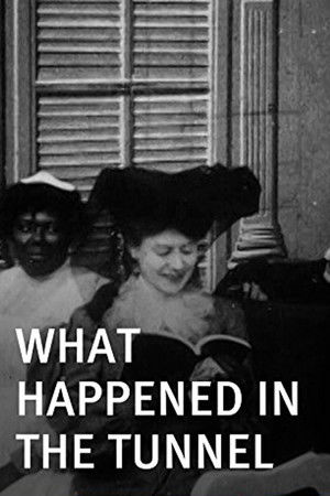 What Happened in the Tunnel What Happened in the Tunnel