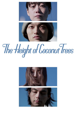 The Height of the Coconut Trees The Height of the Coconut Trees