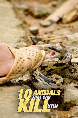 10 Animals That Will Kill You 10 Animals That Will Kill You
