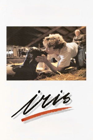 Iris Iris