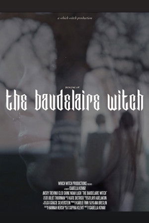 The Baudelaire Witch The Baudelaire Witch