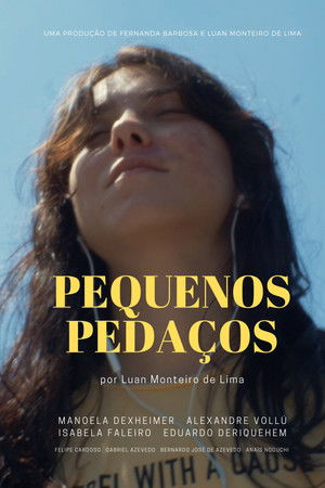 Little Pieces Little Pieces