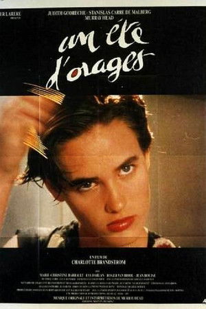 Stormy Summer Stormy Summer