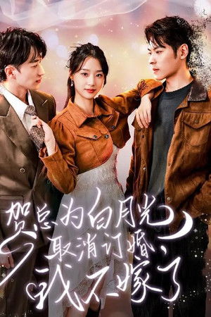 贺总为白月光取消订婚, 我不嫁了