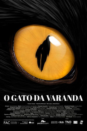 O Gato da Varanda O Gato da Varanda