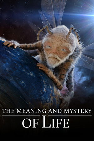 The Meaning and Mystery of Life The Meaning and Mystery of Life